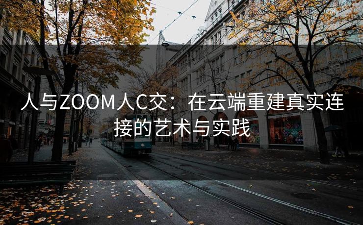 人与ZOOM人C交：在云端重建真实连接的艺术与实践